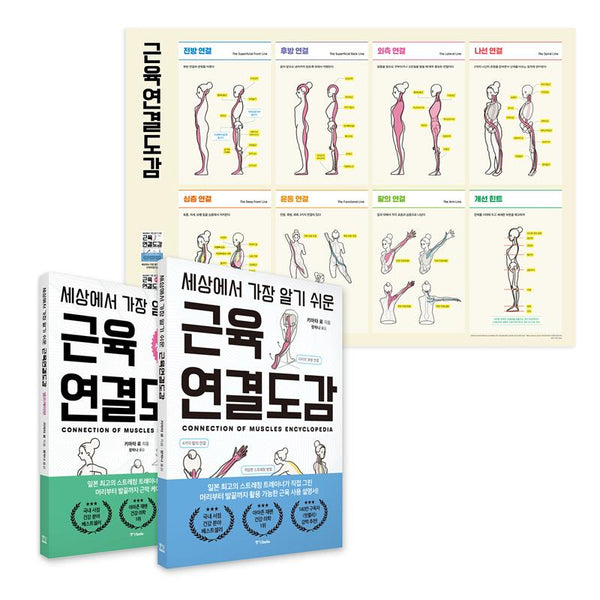 세상에서 가장 알기 쉬운 근육연결도감 세트(전2권)