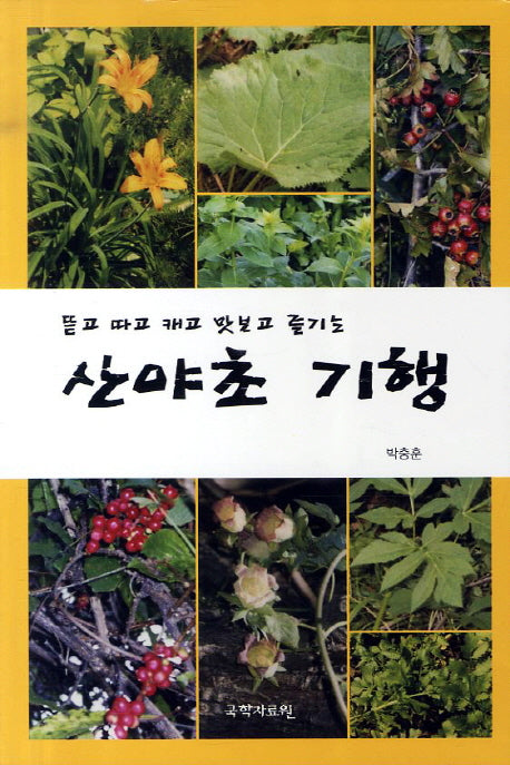 산야초 기행