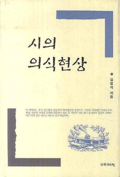 시의 의식현상