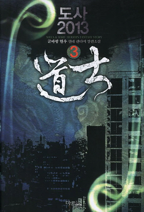 도사 2013 3