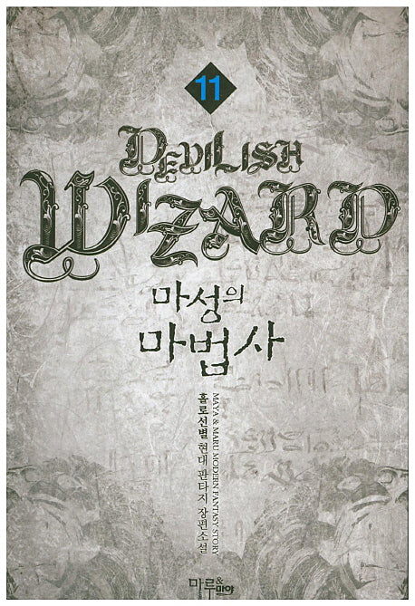 마성의 마법사 11
