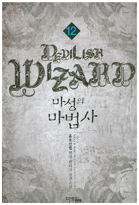 마성의 마법사 12