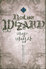 마성의 마법사 13