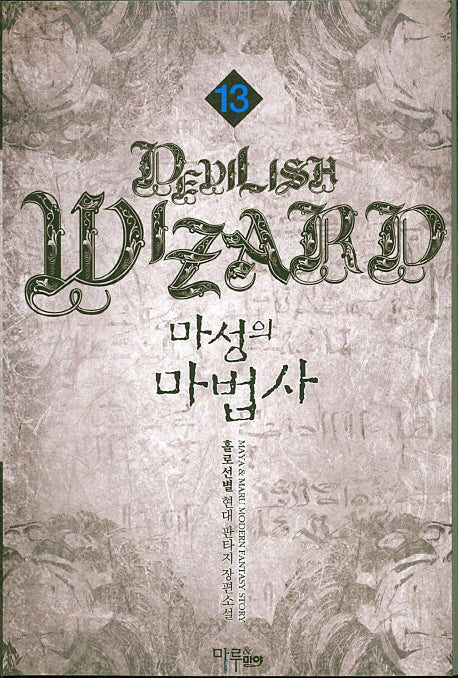 마성의 마법사 13