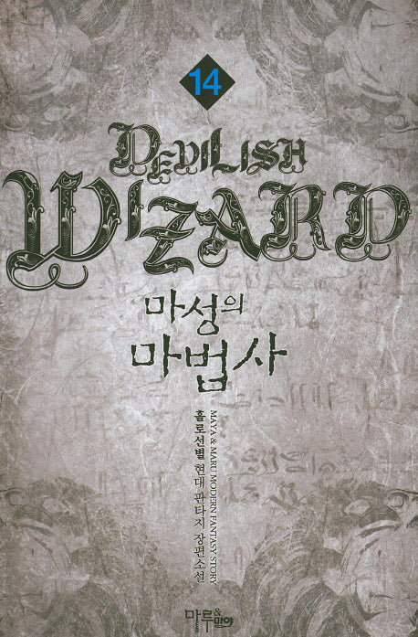 마성의 마법사 14