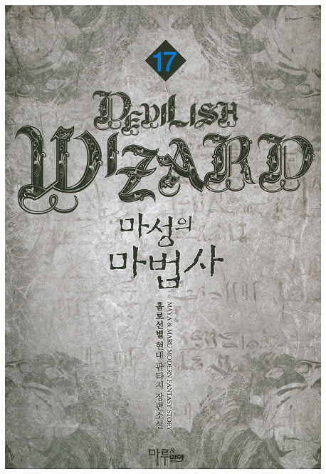 마성의 마법사 17