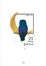 달빛 아래 올빼미 씨