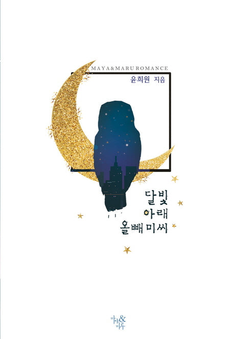 달빛 아래 올빼미 씨