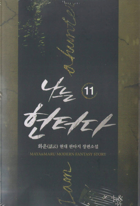 나는 헌터다 11