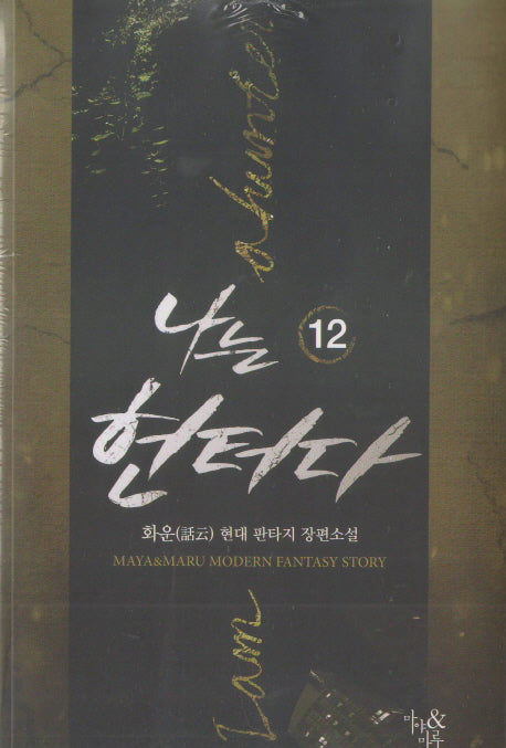 나는 헌터다 12