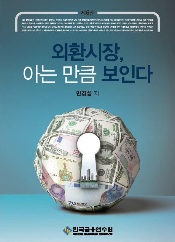 외환시장, 아는 만큼 보인다(수정판 6판)