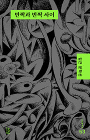 반짝과 반짝 사이(나남문학선 53)(반양장)