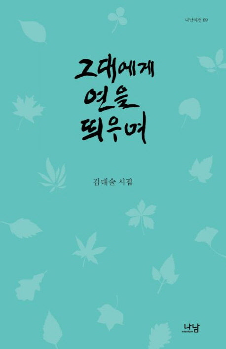 그대에게 연을 띄우며(나남시선 89)