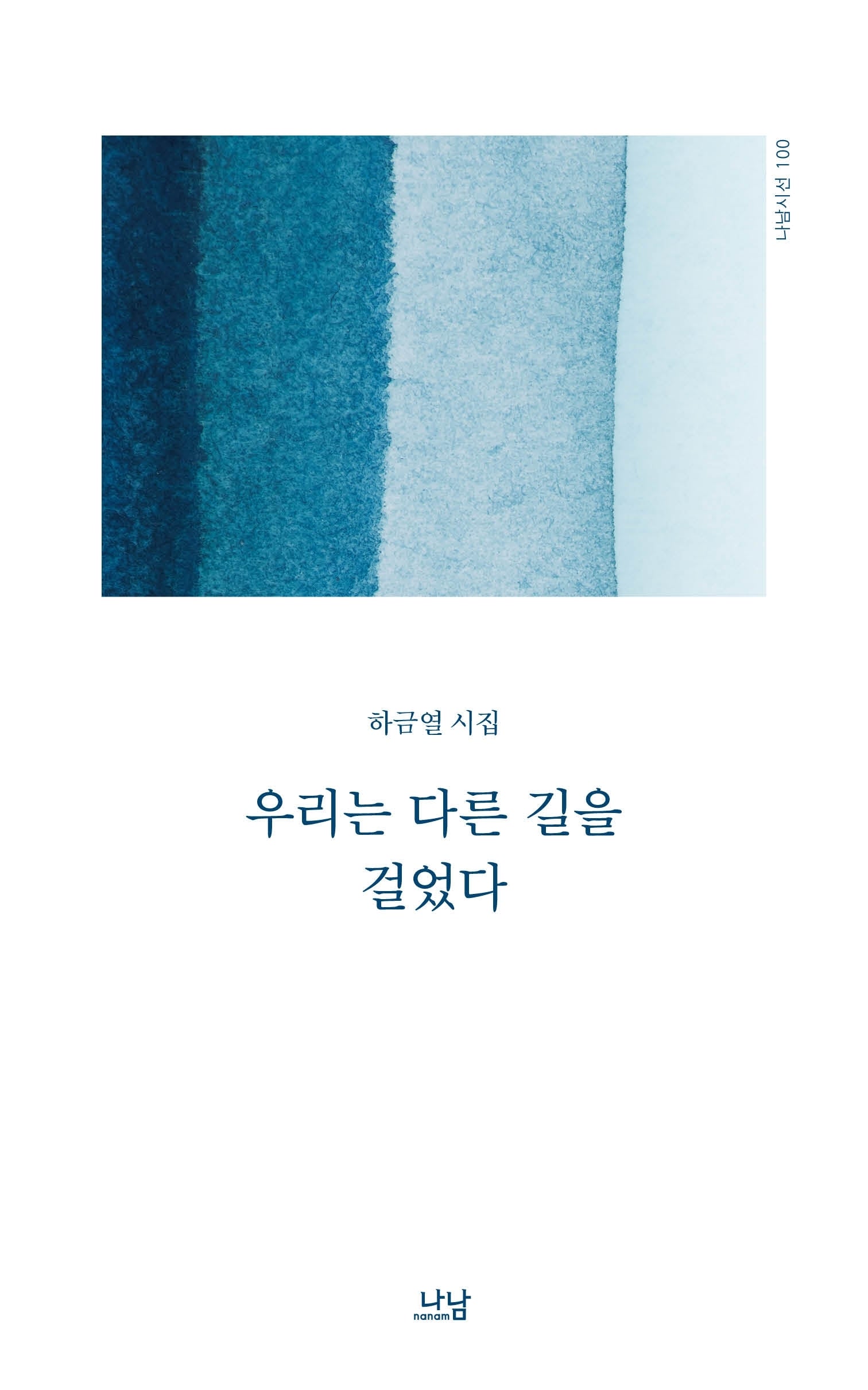 우리는 다른 길을 걸었다(나남시선 100)