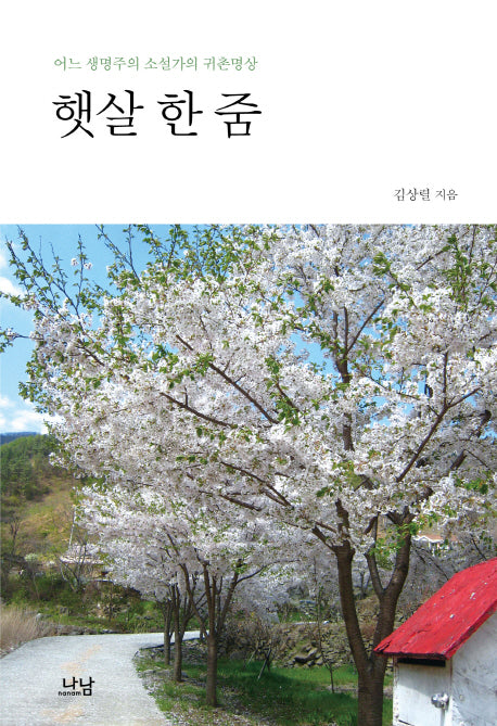 햇살 한 줌