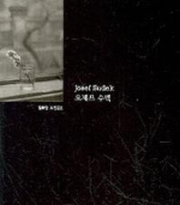 요제프 수덱