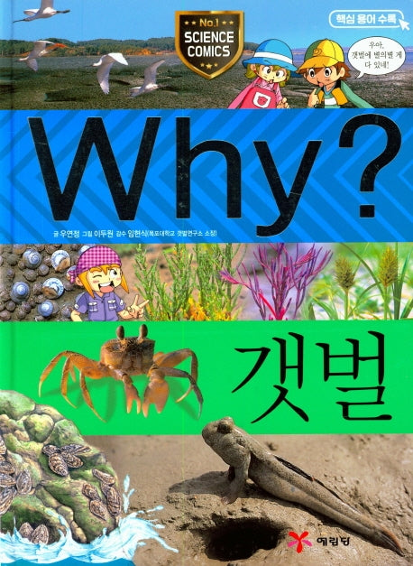 Why? 갯벌(양장본 Hardcover)