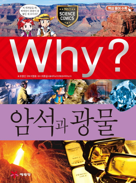 Why? 암석과 광물(초등과학학습만화 54)(양장본 Hardcover)