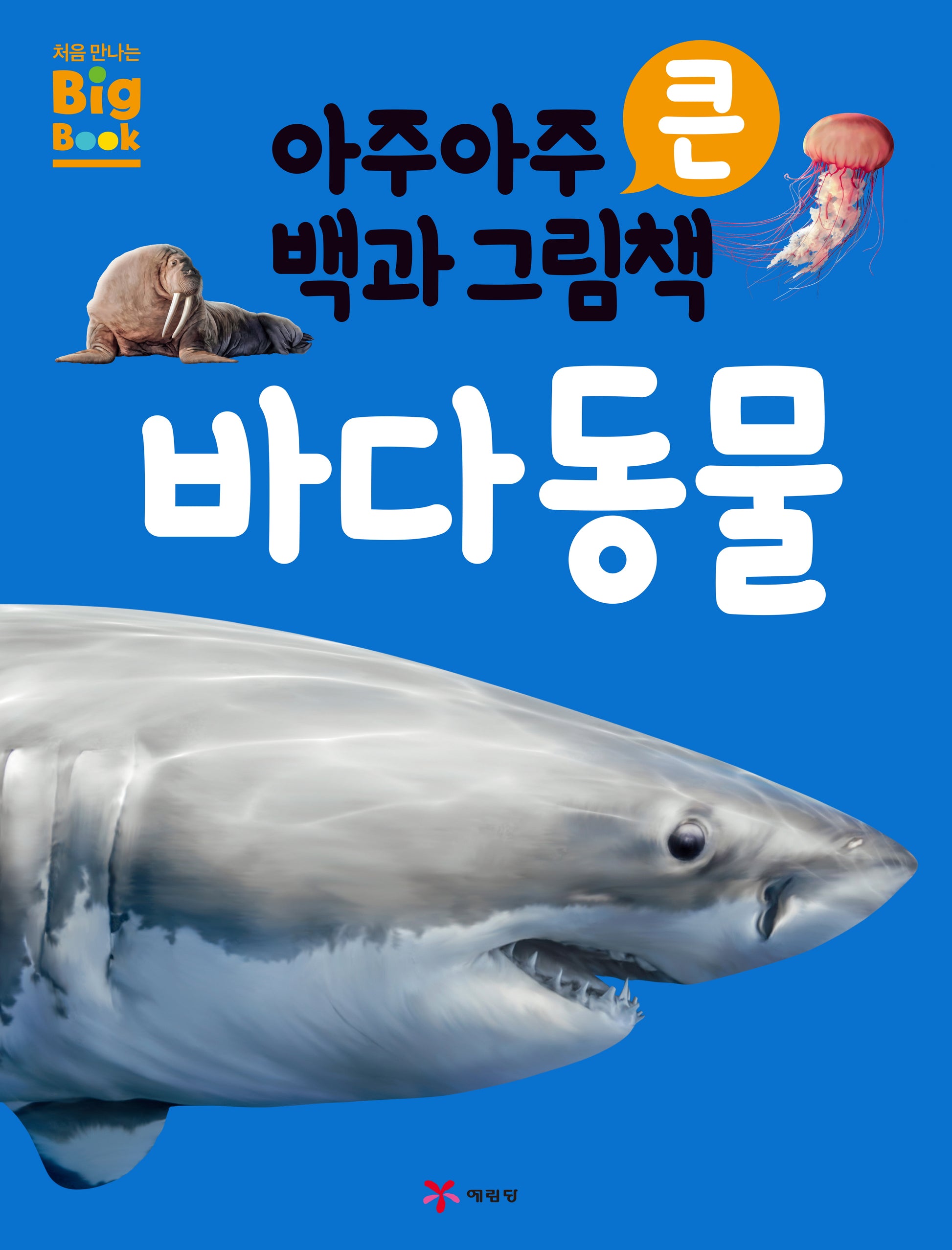 아주아주 큰 백과 그림책 바다 동물(2판)(처음만나는 Big book)