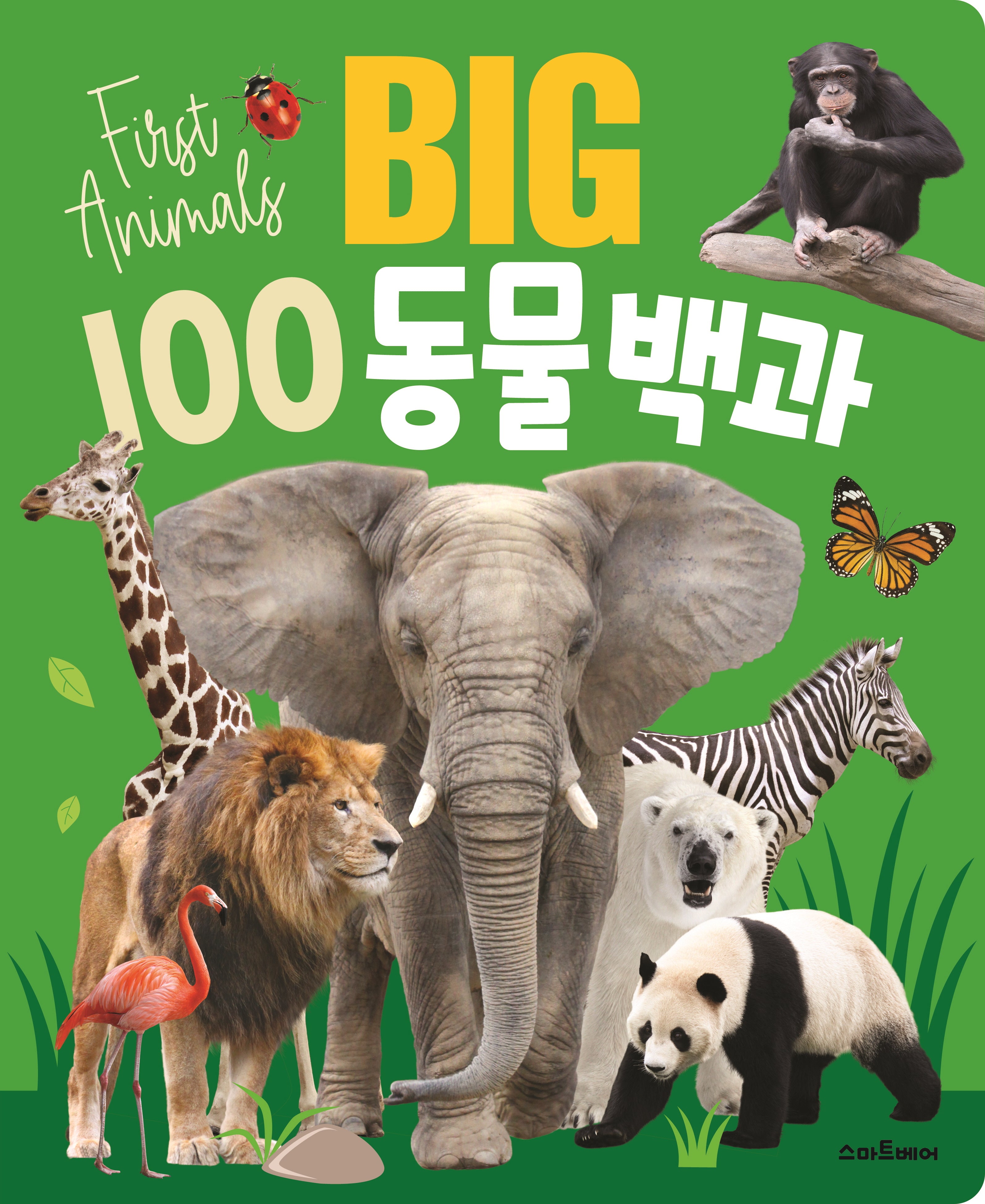 BIG 100 동물백과(양장본 Hardcover)