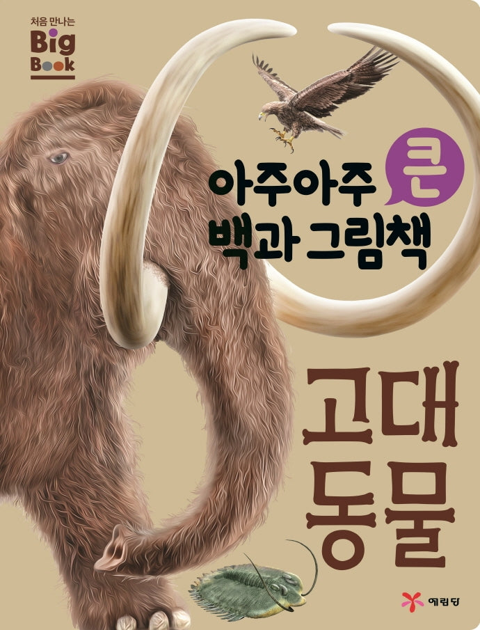 고대 동물(처음만나는 Big book)(양장본 Hardcover)