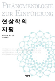 현상학의 지평