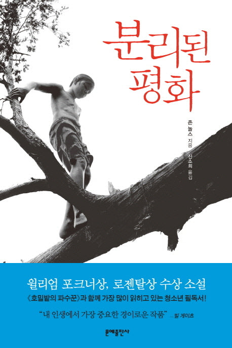 분리된 평화