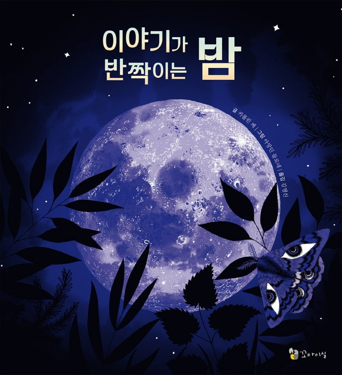 이야기가 반짝이는 밤