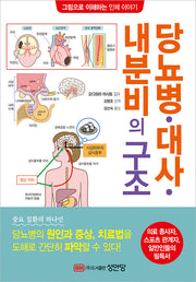 당뇨병 대사 내분비의 구조