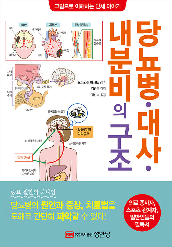 당뇨병 대사 내분비의 구조