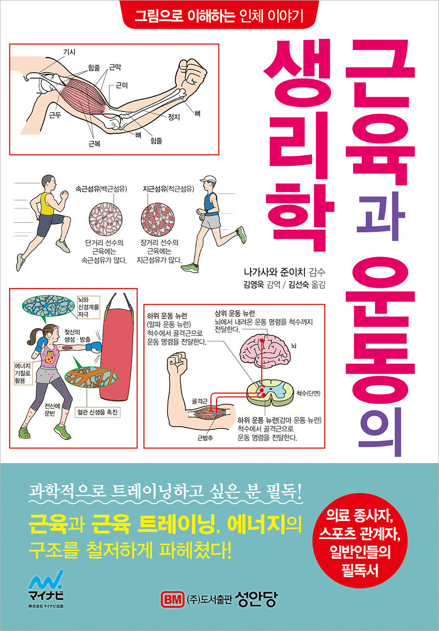 근육과 운동의 생리학