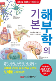 해부학의 기본(그림으로 이해하는 인체 이야기)
