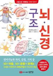뇌·신경 구조(그림으로 이해하는 인체 이야기)