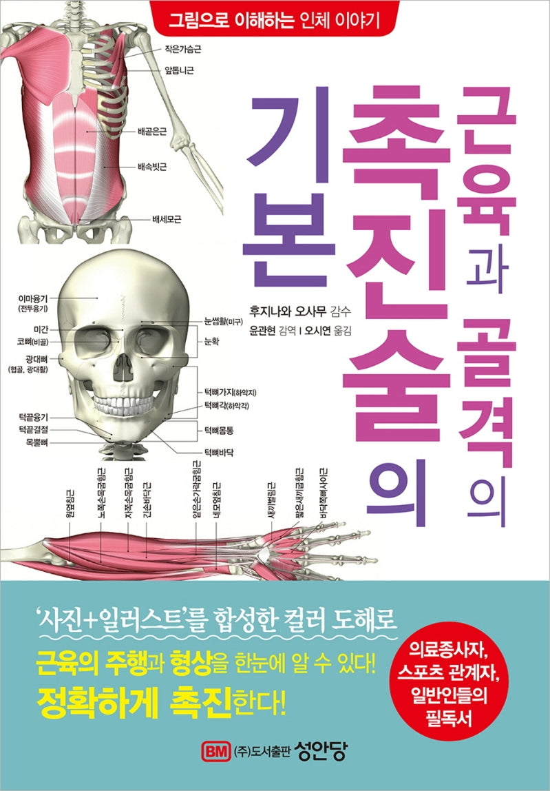 근육과 골격의 촉진술의 기본(그림으로 이해하는 인체 이야기)