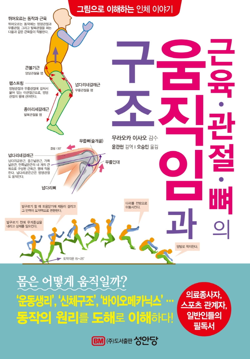 근육·관절·뼈의 움직임과 구조(그림으로 이해하는 인체 이야기)