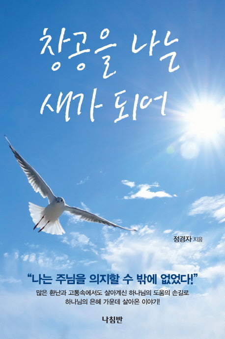 창공을 나는 새가 되어