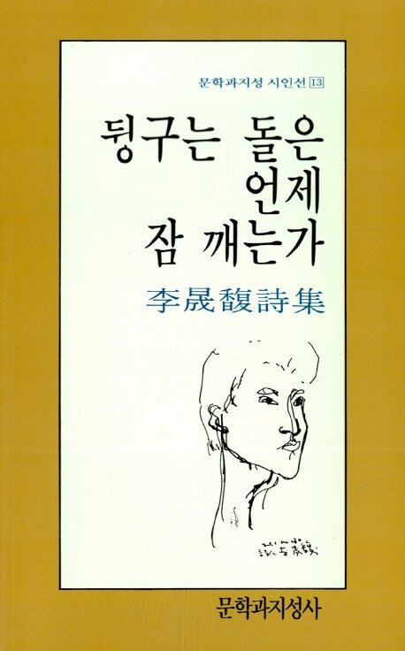 뒹구는 돌은 언제 잠 깨는가(문학과지성 시인선 13)