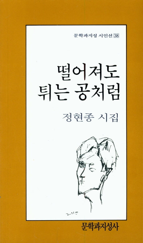 떨어져도 튀는 공처럼(문학과지성 시인선 38)
