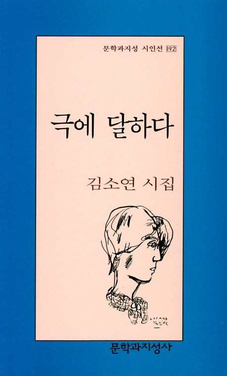 극에 달하다(문학과지성 시인선 192)