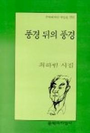 풍경 뒤의 풍경(문학과지성 시인선 254)