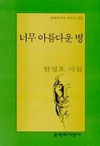 너무 아름다운 병(문학과지성 시인선 259)