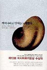 깨어나라고 인어는 노래한다
