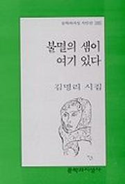 불멸의 샘이 여기 있다(문학과지성 시인선 265)