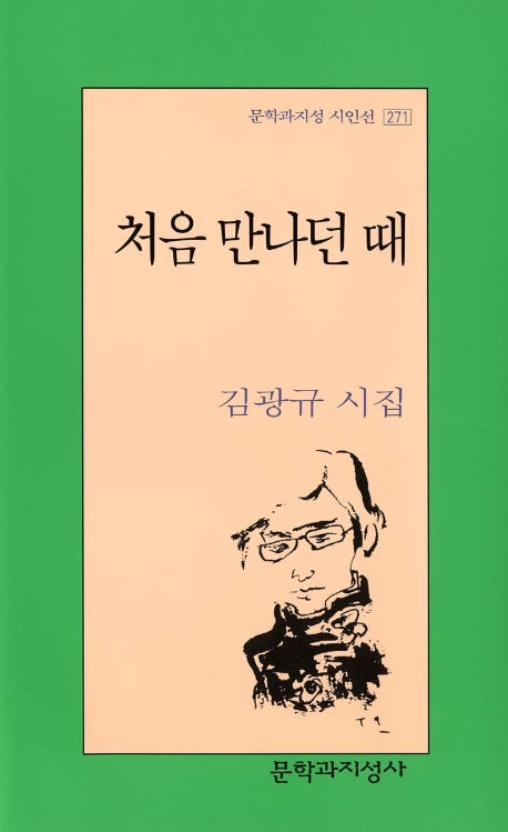 처음 만나던 때(문학과지성 시인선 271)