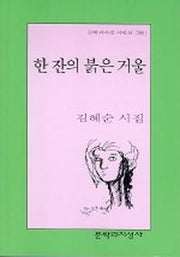 한 잔의 붉은 거울(문학과지성 시인선 288)