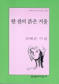 한 잔의 붉은 거울(문학과지성 시인선 288)