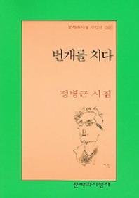 번개를 치다(문학과지성 시인선)