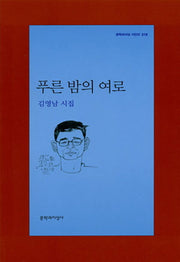 푸른 밤의 여로(문학과지성 시인선 316)