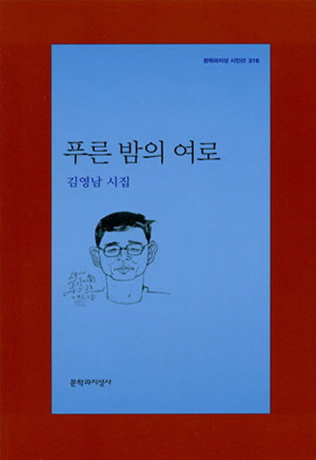 푸른 밤의 여로(문학과지성 시인선 316)