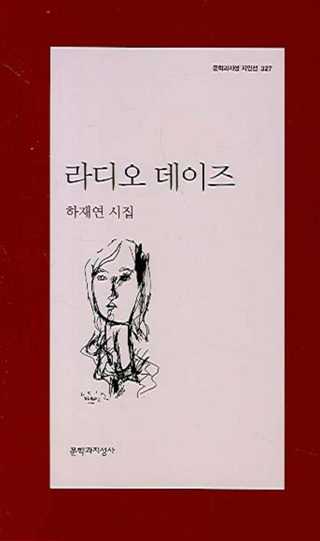 라디오 데이즈(문학과지성 시인선 327)